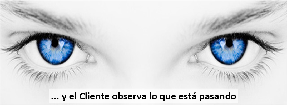11_y_el_cliente_observa