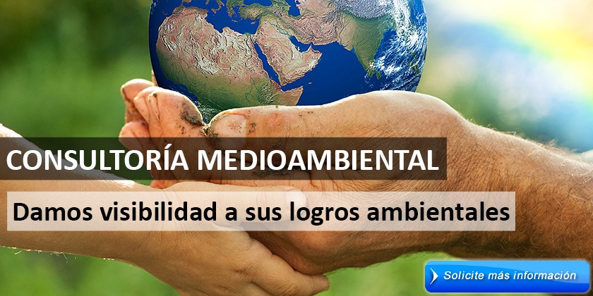 07_consultoria